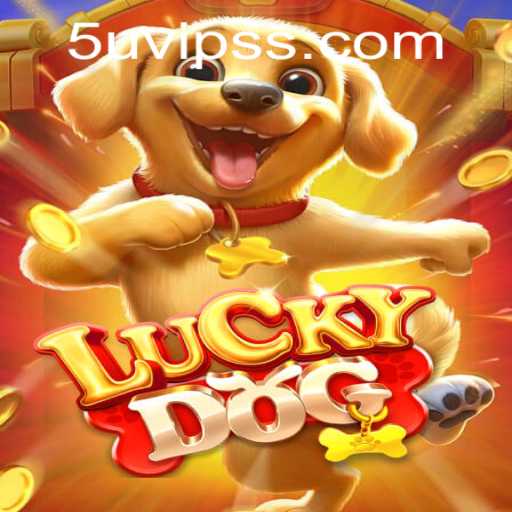 Exploring the Thrills and Strategies of LuckyDog